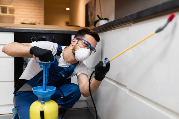 Best Rat Extermination Near Me  in Baileyton, AL