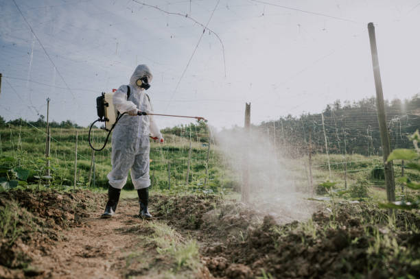 Best Pest Control for Homes  in Baileyton, AL