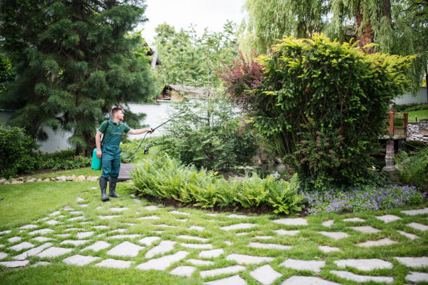 Best Ant Control Services  in Baileyton, AL