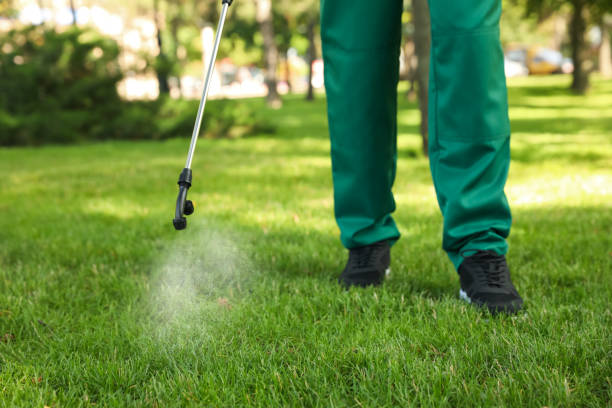 Best Insect Control  in Baileyton, AL