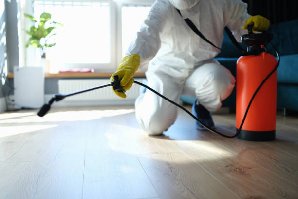 Best Affordable Pest Control Services  in Baileyton, AL