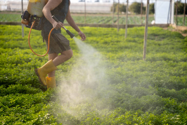 Best Mosquito Control Services  in Baileyton, AL