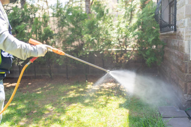 Best Wildlife Control Services  in Baileyton, AL