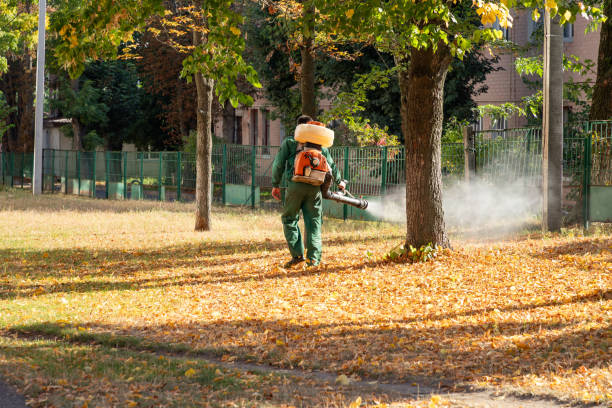 Best Pest Removal Services  in Baileyton, AL