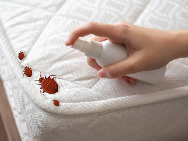 Pest Prevention Services in Baileyton, AL