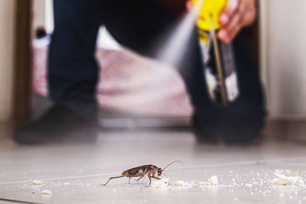 Best Termite Control Services  in Baileyton, AL