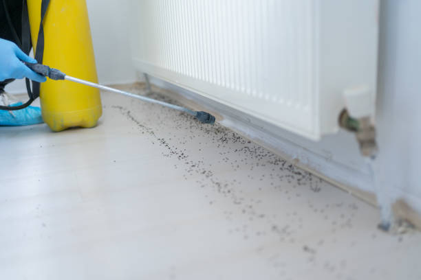 Best Pest Control for Businesses  in Baileyton, AL