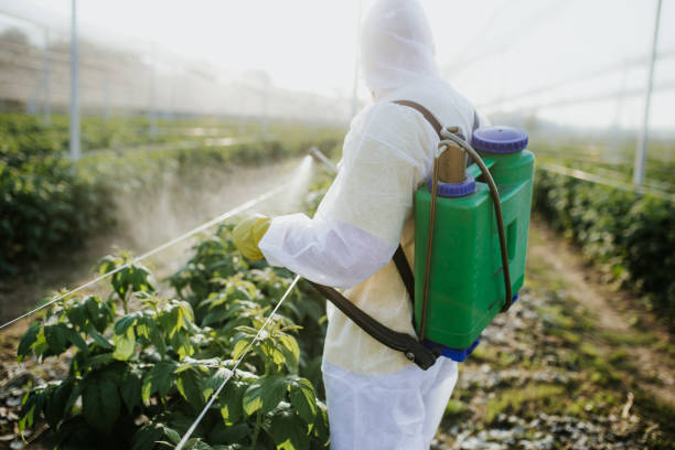 Best Residential Pest Control  in Baileyton, AL